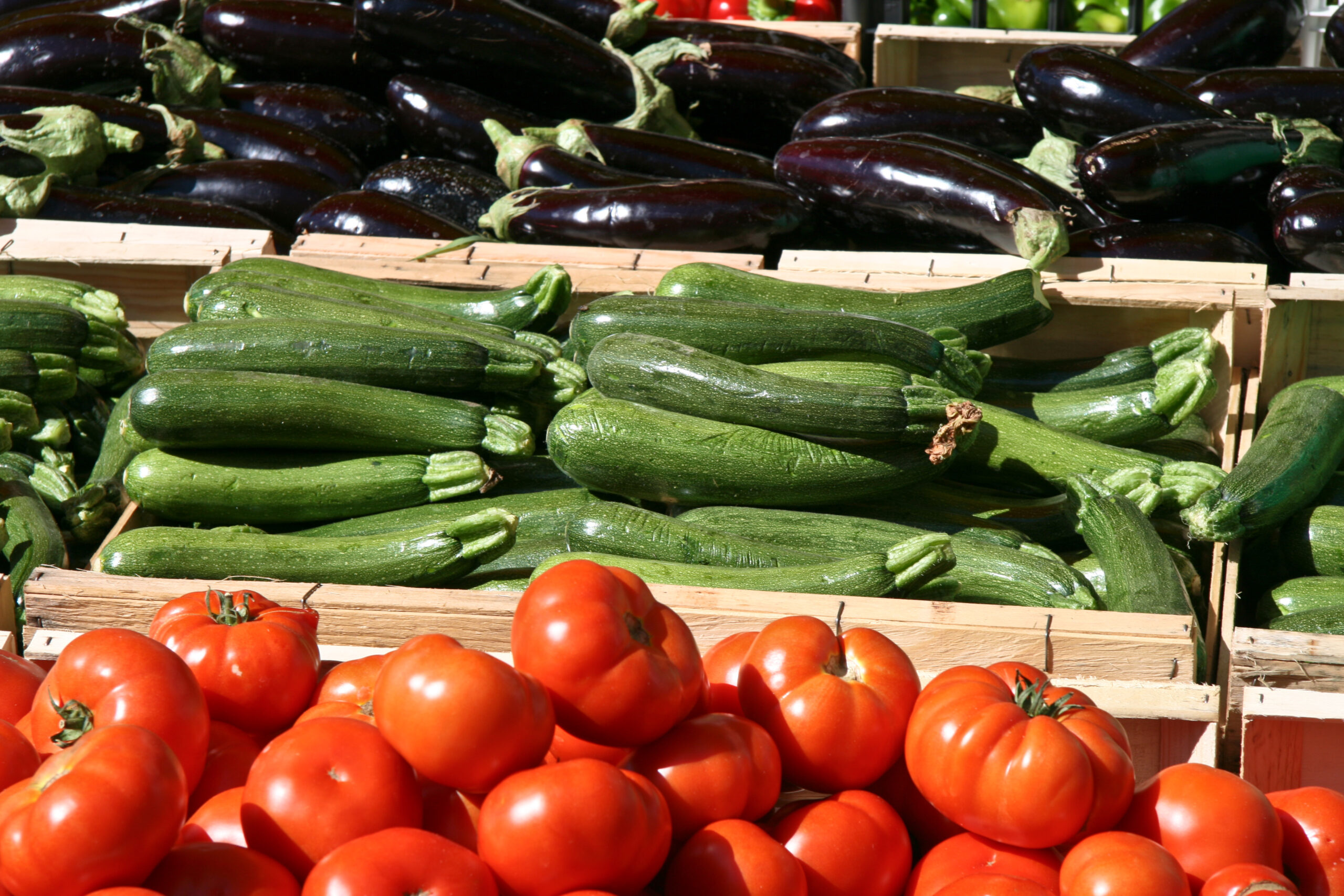 Ratatouille To Be